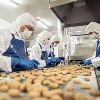 people working at a food factory - food stock pictures, royalty-free photos & images