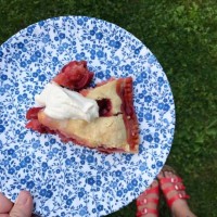 personal perspective of a woman holding a plate of homemade strawberry rhubarb pie - garden decoration stock pictures, royalty-free photos & images