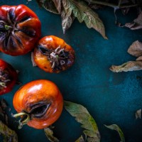 pest rotten tomatoes with tomato leaves - food stock pictures, royalty-free photos & images