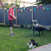 pet dog trying to ignore man barbecueing food in the background - garden decoration stock pictures, royalty-free photos & images