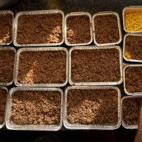 Peter Leavitt spoons ground beef into a take-out container of shepherd's pie at Leavitt & Sons Deli in Portland on Monday, January 7, 2018. More...
