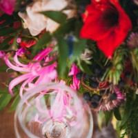 photo by: евгений загурский - garden decoration stock pictures, royalty-free photos & images