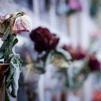 photo by: claudia wanner - garden decoration stock pictures, royalty-free photos & images