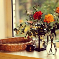 photo by: mira_barhatova - garden decoration stock-fotos und bilder