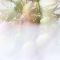 photo by: natalia solonina - garden decoration stock pictures, royalty-free photos & images