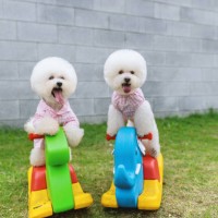 photo by: zhao hui - garden decoration stock pictures, royalty-free photos & images