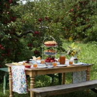 picnic table in apple orchard - home decoration stock pictures, royalty-free photos & images