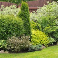 picture of a well maintained garden - garden decoration stock pictures, royalty-free photos & images