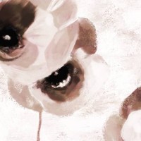 picturesque illustration of blooming poppies. - garden decoration stock illustrations