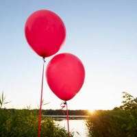 pink balloons for party decoration at lake against sky - garden decoration stock pictures, royalty-free photos & images