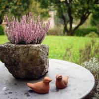 pink heather on round garden able - garden decoration stock pictures, royalty-free photos & images