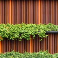 plant decoration wall - garden decoration stock pictures, royalty-free photos & images