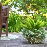 planter on a stone patio. - garden decoration stock pictures, royalty-free photos & images