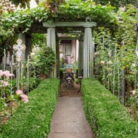 plants growing in garden - garden decoration stock pictures, royalty-free photos & images