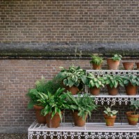 plants in pots in a garden - garden decoration stock pictures, royalty-free photos & images