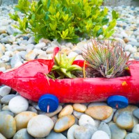 plastic bottle as a flower pot. - garden decoration stock-fotos und bilder