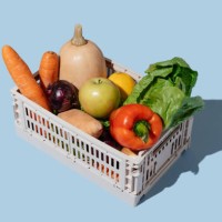 plastic box of organic vegetables and fruits on blue background. grocery subscription boxes. meal kits home delivery. - food stock pictures, royalty-free photos & images