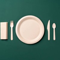 plastic free disposable paper plate with wooden eating utensils table setting - junk food stock pictures, royalty-free photos & images