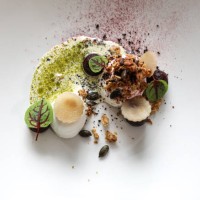 plate of beautiful food - food stock pictures, royalty-free photos & images