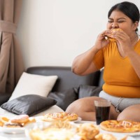 plus size woman sitting on sofa and eating junk food. - junk food stock pictures, royalty-free photos & images
