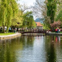 pond in the centre of tapolca, hungary - garden decoration stock pictures, royalty-free photos & images