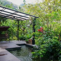 pond in the garden. - garden decoration stock pictures, royalty-free photos & images