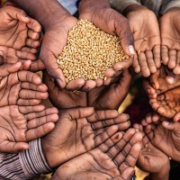 poor indian children asking for food, india - food stock pictures, royalty-free photos & images
