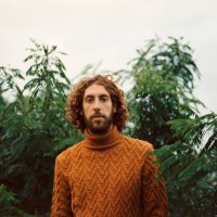 porträt des mannes in orangefarbenem pullover auf dem hintergrund grüner blätter - fashion stock-fotos und bilder