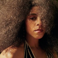 portrait of a beautiful woman with afro hair. stock photo - fashion stock pictures, royalty-free photos & images