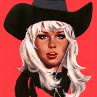 portrait of a cowgirl - fashion stock illustrations