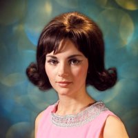 portrait of brunette woman with flip hairstyle. - hairstyle fotografías e imágenes de stock