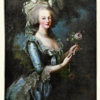 portrait of marie-antoinette queen of france, after élisabeth vigée-lebrun - fashion stock illustrations