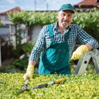 portrait of senior gardener. - garden decoration stock pictures, royalty-free photos & images