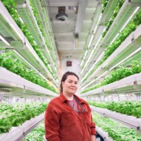 portrait of woman in modern vertical farm - food stock pictures, royalty-free photos & images