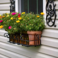 portulaca in window flower box - garden decoration stock pictures, royalty-free photos & images