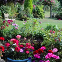 pots of geraniums, lawn & trees, english domestic garden. - garden decoration photos et images de collection