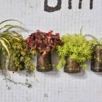 potted plants hanging on the wall. - garden decoration stock pictures, royalty-free photos & images