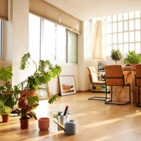 potted plants in domestic room - home decoration stock pictures, royalty-free photos & images