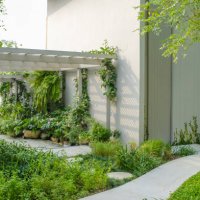 potted plants in garden. - garden decoration stock pictures, royalty-free photos & images
