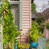 potted plants on patio - garden decoration stock pictures, royalty-free photos & images