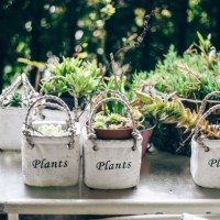 potted plants outdoors - garden decoration stock pictures, royalty-free photos & images