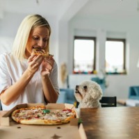 pregnant woman eating pizza at home with her dog - junk food stock pictures, royalty-free photos & images