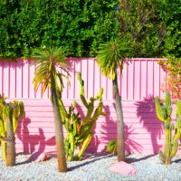 pretty cactus garden - garden decoration stock pictures, royalty-free photos & images