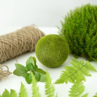 process of making kokedama. ball of earth covered with moss with planted plant. - garden decoration stockfoto's en -beelden