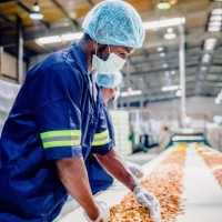 production line workers at a food processing plant - food stock pictures, royalty-free photos & images
