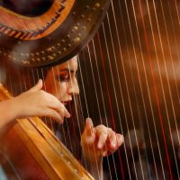 professional female harpist during performance - concert stock pictures, royalty-free photos & images