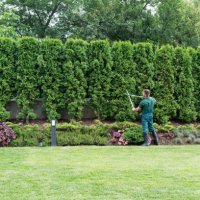 professional gardener trimming hedge. - garden decoration stock pictures, royalty-free photos & images