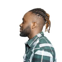profile portrait of african american man with beard and braided hair on white background - hairstyle stock pictures, royalty-free photos & images