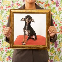 proud woman holding framed picture of dog - home decoration stock pictures, royalty-free photos & images
