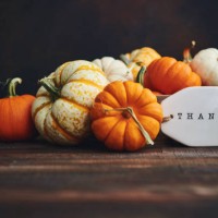 pumpkin collection with thankful message for thanksgiving. fall background - home decoration stock pictures, royalty-free photos & images